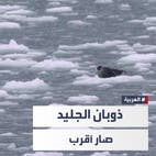دراسة علمية صادمة: ذوبان جليد القطب الشمالي بدايات "العقد المقبل"