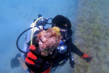 In this frame from video, Hamad al-Jailani, Marine Scientist at Environment Agency Abu Dhabi, shows a piece of restored coral underwater off the coast of Abu Dhabi, United Arab Emirates, May 25, 2023. (AP)