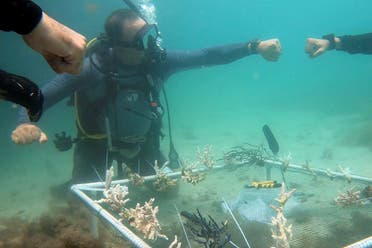 In this frame from video, PADI Course Director Amr Anwar fist bumps divers after replanting coral in Dubai, United Arab Emirates, June 4, 2023. (AP)