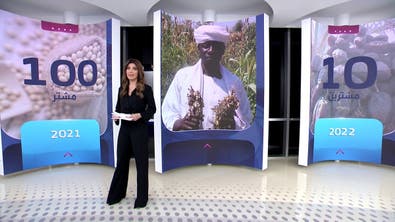 ضربة للقطاع الزراعي والدواجن تعجل بمجاعة محتملة في السودان