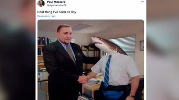 American Political Advisor Mocks Shark Attack on Russian Tourist: Criticism Mounts on Twitter