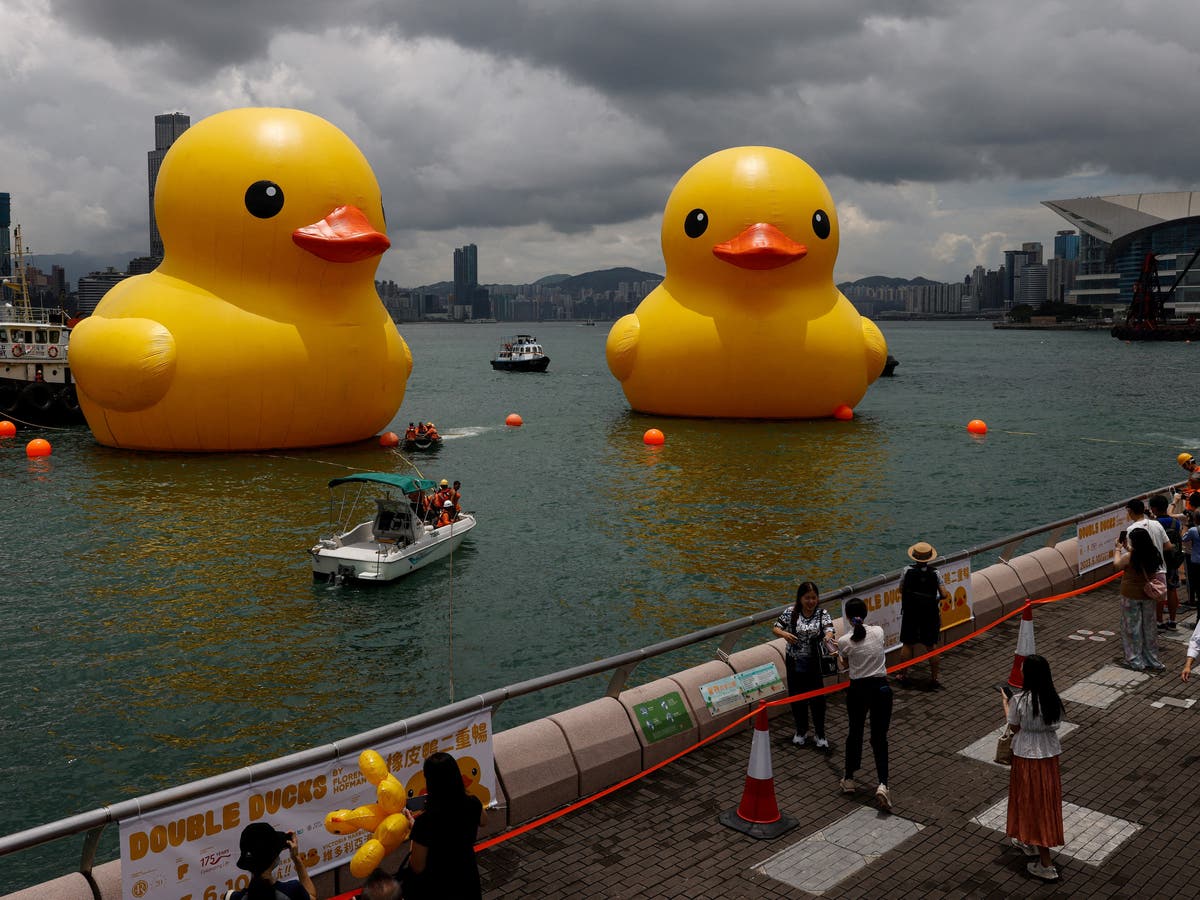 One of two giant rubber ducks in Hong Kong harbour deflates