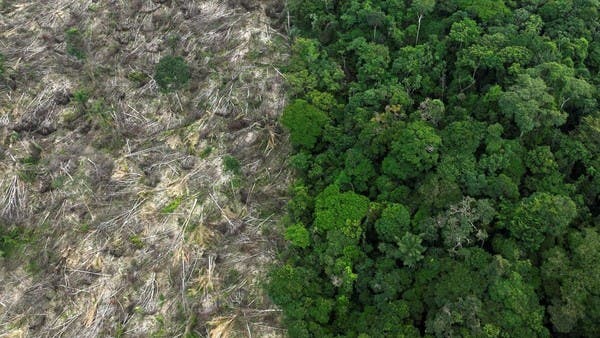 World ‘failing’ on pledge to stop deforestation by 2030