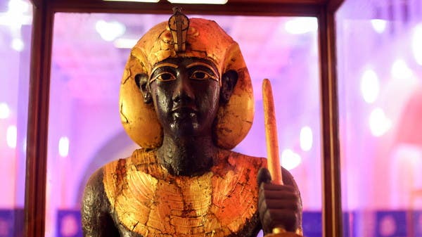 Tutankhamun: Expert Claims King Was an Experienced Warrior, Not a Sickly Ruler