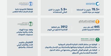 منظمة البيئة والمياه والزراعة 