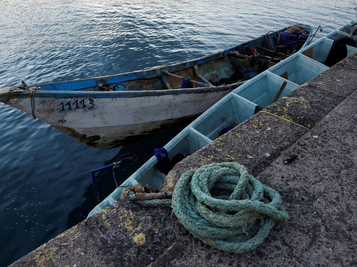 Nigeria stowaways who survived 11 days on ship rudder 'must return