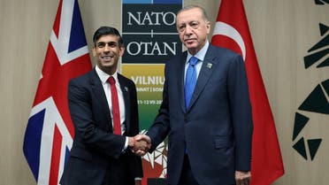Turkish President Tayyip Erdogan meets with British Prime Minister Rishi Sunak ahead of a NATO leaders summit in Vilnius, Lithuania, on July 11, 2023. (Reuters)