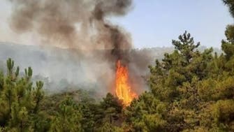 تونس کے جنگلات میں پھر آگ لگ گئی، مزید پھیلاؤ کا خطرہ