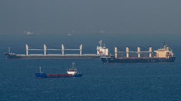 TOPSHOT - Cargo ship Rubymar (R), carrying Ukrainian grain, and cargo ship Stella GS (L) originating from Ukraine, sail at the entrance of Bosphorus, in the Black Sea off the coast off Kumkoy, north of Istanbul, on November 2, 2022