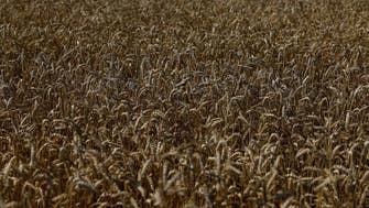 US official to promote Russian grain export in Africa amid Black Sea deal fallout