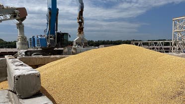 A pile of maize grains is seen on the pier at the Izmail Sea Port, Odesa region, on July 22, 2023. Russia said on July 21, 2023 that it understood the concerns African nations may have after Moscow left the Ukrainian grain deal, promising to ensure deliveries to countries in need. (Photo by STRINGER / AFP)