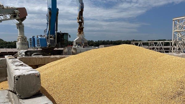 Reviving Ukraine Grain Deal Essential For Global Food Security: Turkey