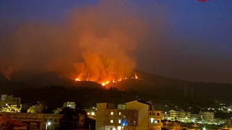 Two die, hotel evacuated in Sicily fires                    
