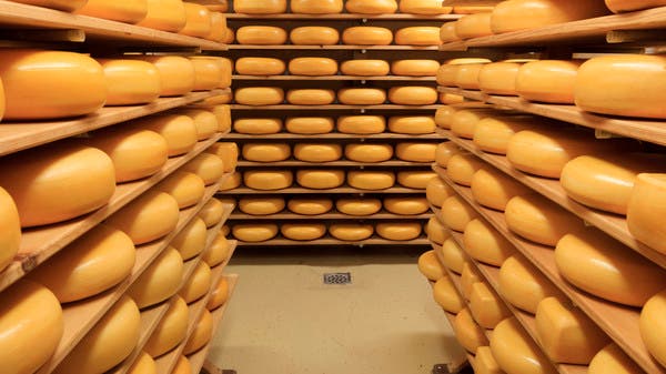 Huge Blocks of Cheese Cause Tragic Accident at Italian Cheese Producer’s Warehouse