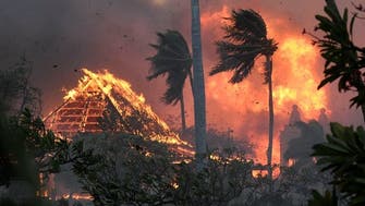 Unraveling Hawaii's wildfires: Causes, impact and key insights