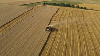 الأردن يشتري 50 ألف طن من القمح في مناقصة