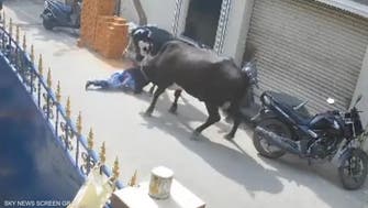 دل دہلا دینے والا منظر، غصے میں بپھری گائے  نے بچی کی روند ڈالا