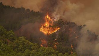Wildfire flames advance through forest on Spain’s Canary Islands