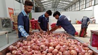 India imposes new 40 pct export duty on onions following scanty rains