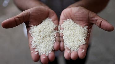 A man compares different grains of rice at a wholesale market in Navi Mumbai, India, on August 4, 2023. (Reuters)