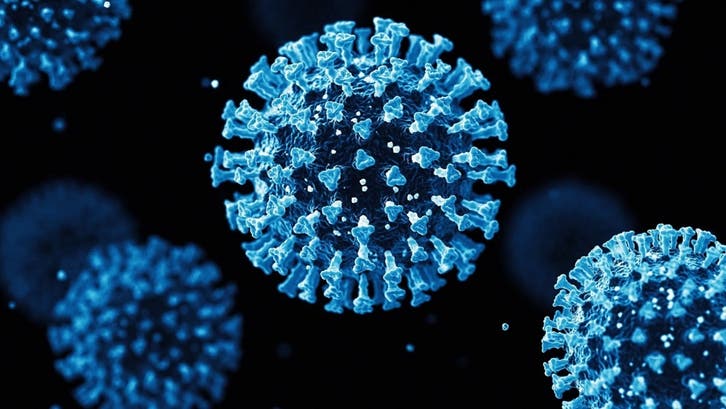Saudi Health Ministry: No additional measures required for EG.5 coronavirus mutant  