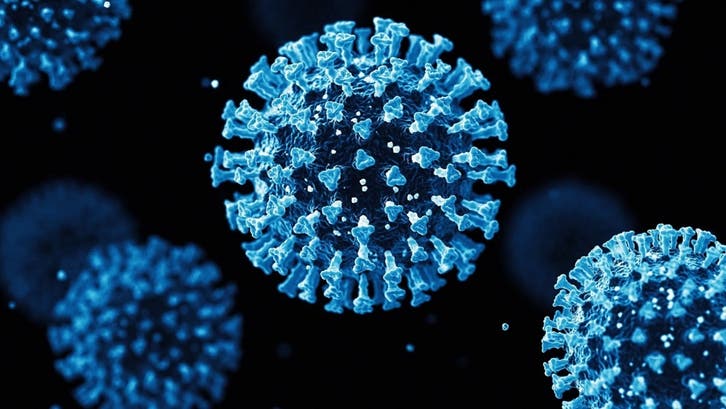 Saudi Health Ministry: No additional measures required for EG.5 coronavirus mutant