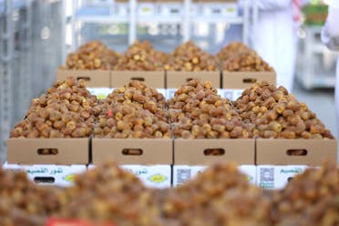 السعودية: تحقيق نسبة اكتفاء ذاتي من التمور بلغت 124% 4 كميات التمور