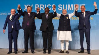 BRICS+: Experts explain what the strategic entry of six new nations means for bloc 