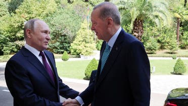 Russian President Vladimir Putin meets with Turkish President Recep Tayyip Erdogan in Sochi, Russia, September 4, 2023. (Handout via Reuters)
