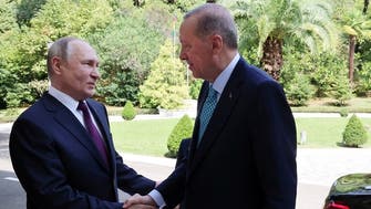 After Putin meeting, Erdogan thinks Black Sea grain deal can be restored soon