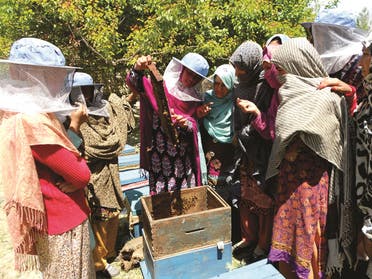 One of Hashoo Foundation’s most popular projects is the honeybee farming initiative that was set up in 2007, that has earned awards locally and internationally. (Supplied)