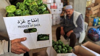 Israel's decision to suspend Gaza exports sparks humanitarian concerns