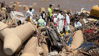 Four members of Greek rescue team killed in road accident in Libya: Libyan official