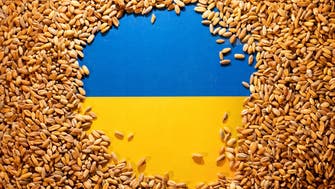 Ukraine set to sue Poland, Hungary and Slovakia over food import bans