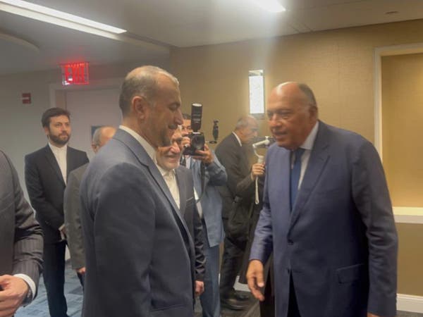 طهران: لقاء وزيري خارجية مصر وإيران فتح "أفقاً جديداً" في مسار العلاقات