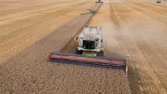 Poland’s grain talks with Ukraine on track, Polish minister says