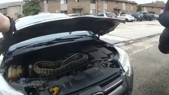 کار کے انجن میں خوفناک سانپ، امریکی دیکھ کر حیرت زدہ رہ گیا
