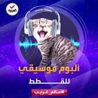 عالم غريب | موسيقي يؤلف ألبوما موسيقيا خاصا للقطط من 5 معزوفات