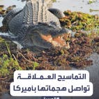 هجوم شنيعٍ لتمساح عملاق يلتهم أميركية بين فكيه ويسبح بها 