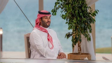 Saudi Arabia's Crown Prince Mohammed bin Salman speaks with FOX News. (Reuters)