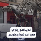 عرض هيكل الديناصور باري على العامة في أحد شوارع باريس