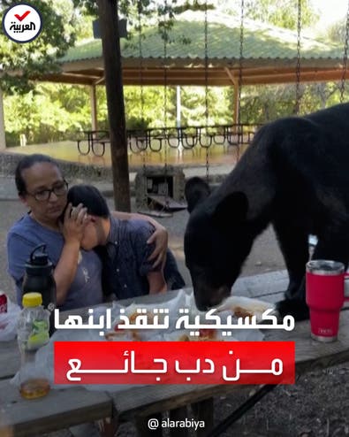 مكسيكية تنقذ ابنها من دب جائع