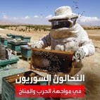 انخفاض إنتاج النحل في سوريا إلى النصف بسبب التغيرات المناخية وتبعات الحرب