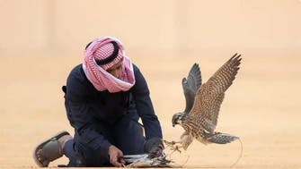 سعودی عرب بین الاقوامی فالکن اور شکار کی نمائش کا آغاز