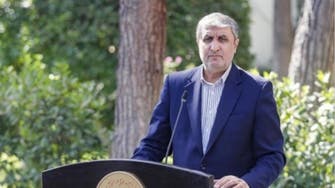 اسلامی: بازرسان اخراج‌شده آژانس «رفتار سیاسی تند» داشتند