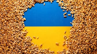 Ukraine increases road food exports in September: Brokers