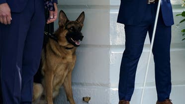 Commander, Biden's dog, stands in a doorway as U.S. President Joe Biden waves from Marine One on departure from the White House in Washington, U.S., June 25, 2022. REUTERS/Elizabeth Frantz