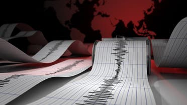 Seismic Waves stock photo A Record of Seismic Waves Caused by Earthquakes. 3D Rendering.