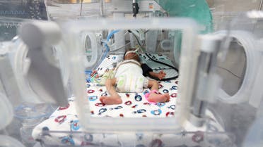 Un bebé palestino prematuro yace en una incubadora en la sala de maternidad del Hospital Shifa, que según funcionarios de salud está a punto de cerrar porque se queda sin combustible y energía, en la ciudad de Gaza el 22 de octubre de 2023. (Reuters)
