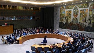 شورای امنیت سازمان ملل متحد 